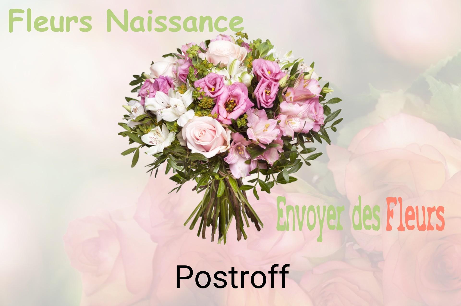 Bouquet de fleurs de naissance livré à Postroff